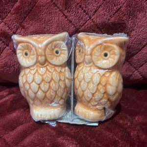 Owl salt & pepper shakers